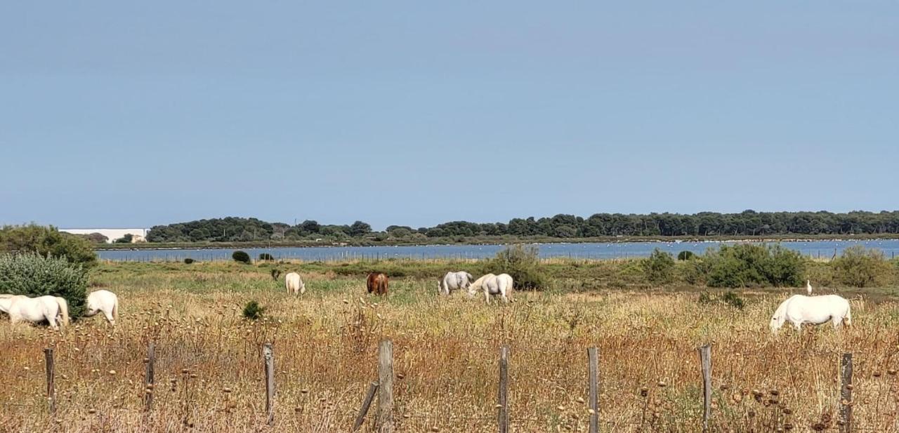 La Cigale De Mer A 100 M De La Plage Et Du Centre Ville Du Grau Du Roi Le Grau-du-Roi Eksteriør bilde